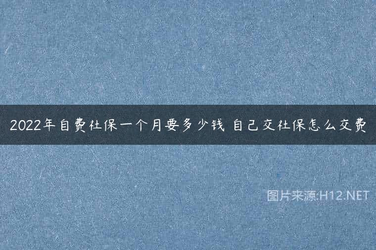 2022年自费社保一个月要多少钱 自己交社保怎么交费