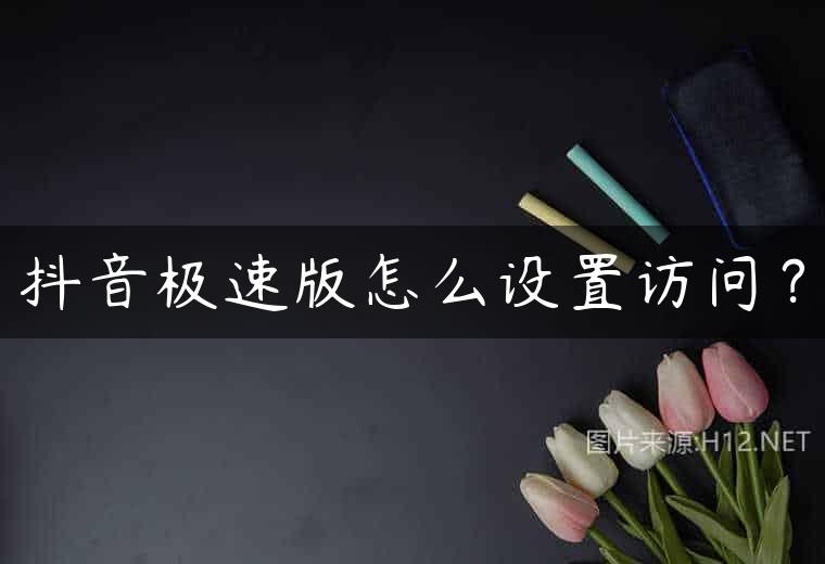 抖音极速版怎么设置访问？
