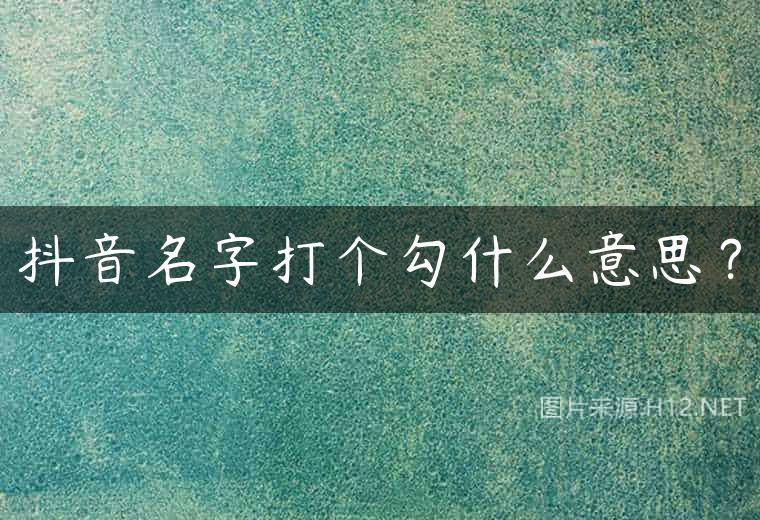抖音名字打个勾什么意思？