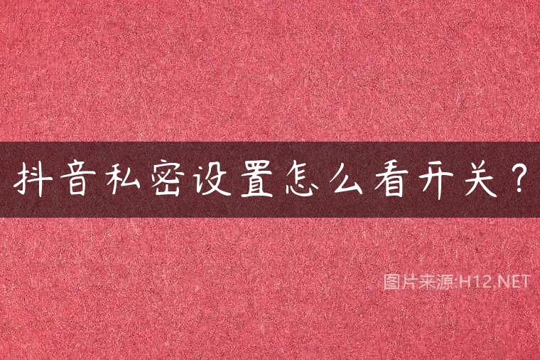 抖音私密设置怎么看开关？