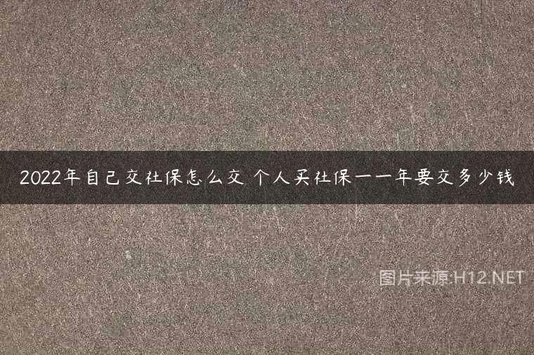 2022年自己交社保怎么交 个人买社保一一年要交多少钱
