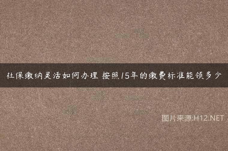 社保缴纳灵活如何办理 按照15年的缴费标准能领多少