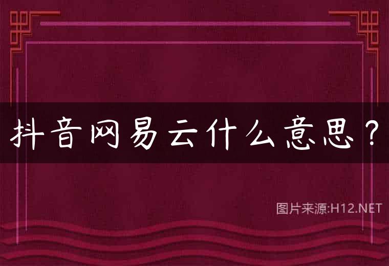 抖音网易云什么意思？