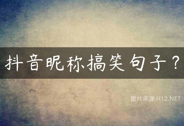 抖音昵称搞笑句子？