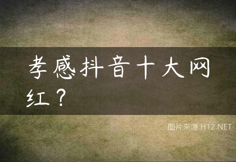 孝感抖音十大网红？