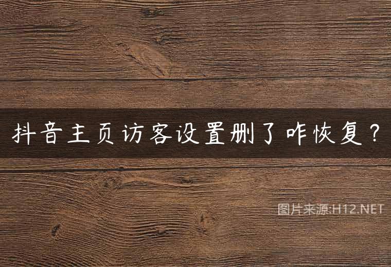 抖音主页访客设置删了咋恢复？