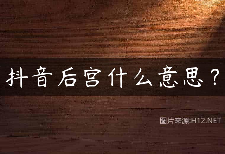 抖音后宫什么意思？