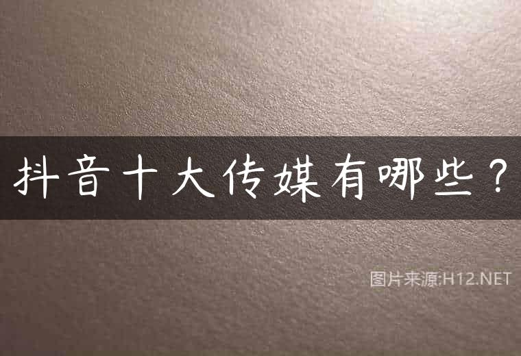 抖音十大传媒有哪些？
