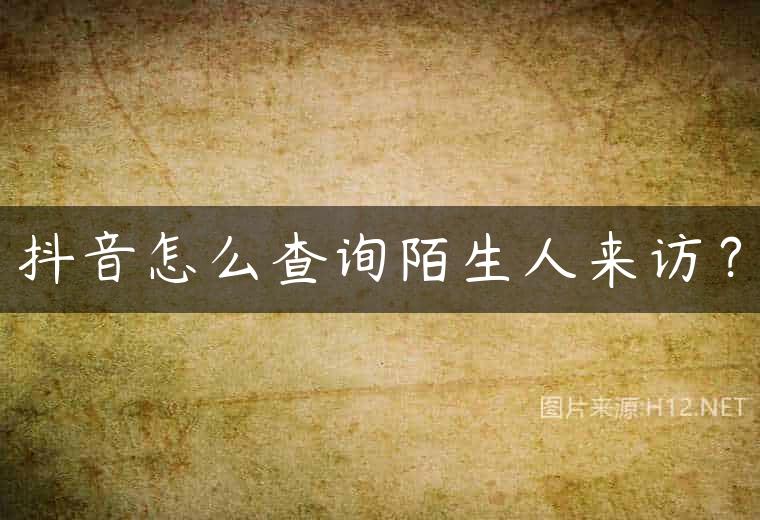 抖音怎么查询陌生人来访？