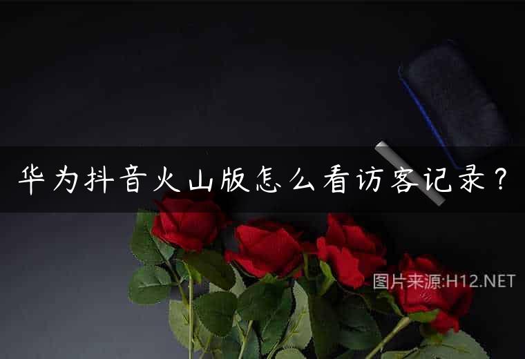 华为抖音火山版怎么看访客记录？