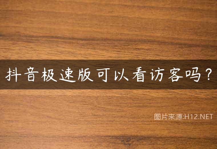 抖音极速版可以看访客吗？
