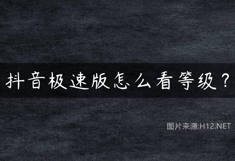 抖音极速版怎么看等级？