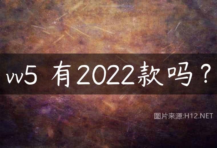 vv5 有2022款吗？