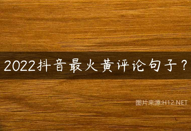 2022抖音最火黄评论句子？