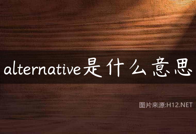 alternative是什么意思