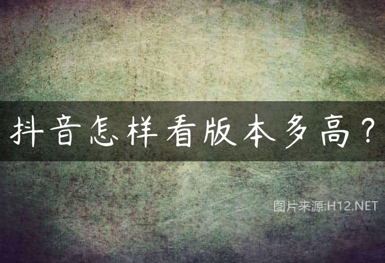 抖音怎样看版本多高？