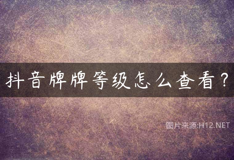 抖音牌牌等级怎么查看？