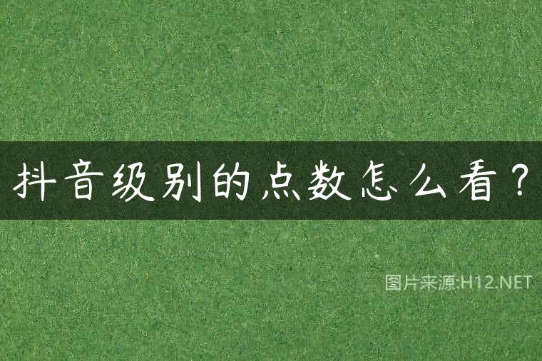 抖音级别的点数怎么看？