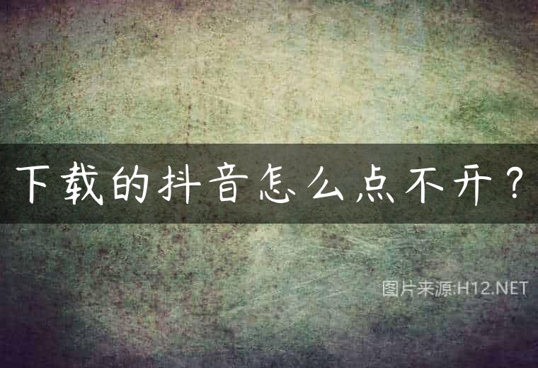 下载的抖音怎么点不开？