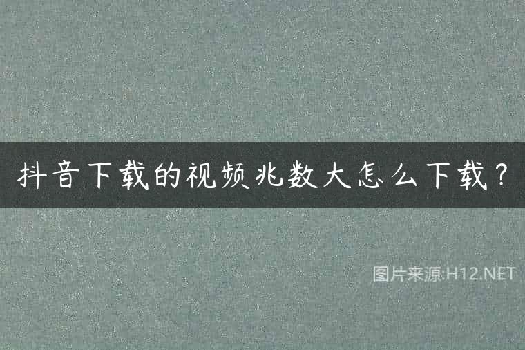 抖音下载的视频兆数大怎么下载？