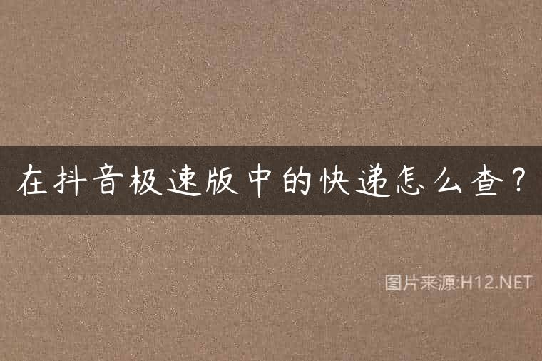 在抖音极速版中的快递怎么查？