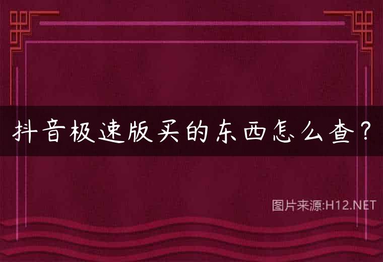抖音极速版买的东西怎么查？