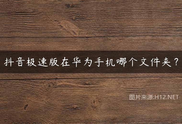 抖音极速版在华为手机哪个文件夹？