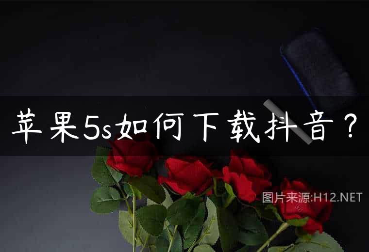 苹果5s如何下载抖音？