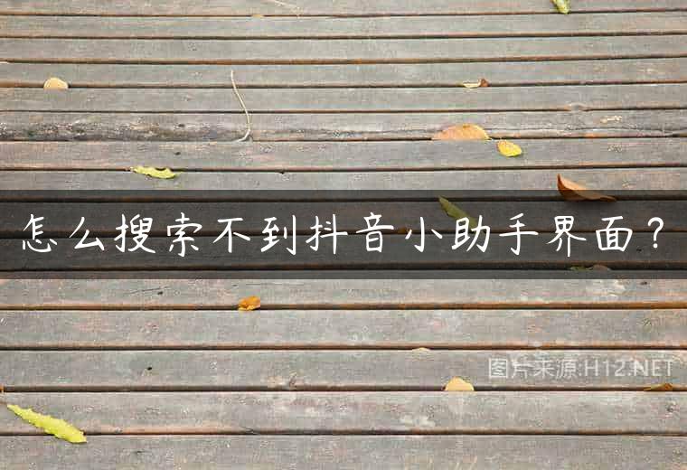 怎么搜索不到抖音小助手界面？