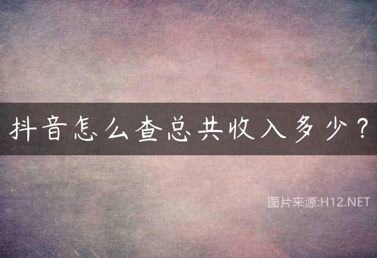 抖音怎么查总共收入多少？