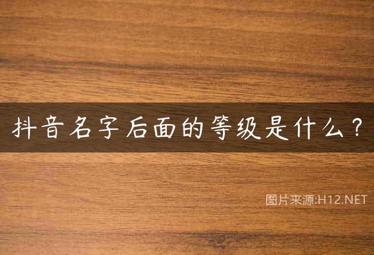 抖音名字后面的等级是什么？