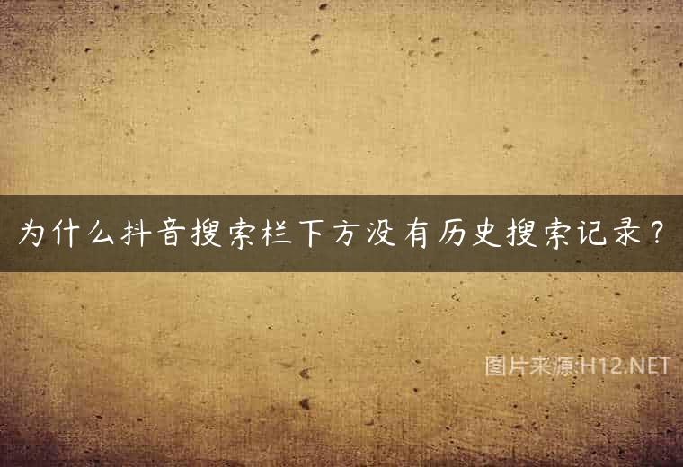 为什么抖音搜索栏下方没有历史搜索记录？
