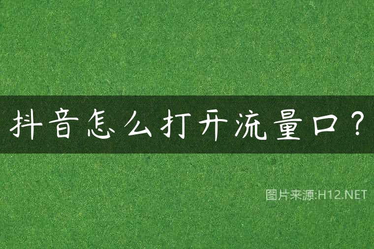 抖音怎么打开流量口？