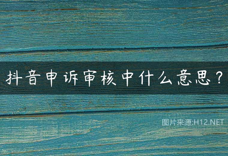 抖音申诉审核中什么意思？