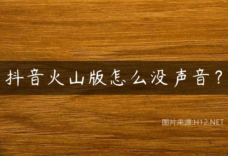抖音火山版怎么没声音？