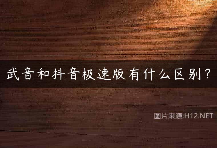 武音和抖音极速版有什么区别？