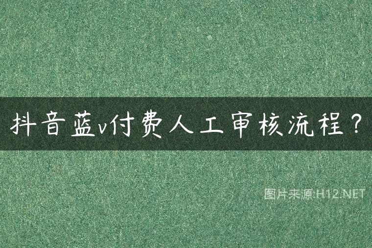 抖音蓝v付费人工审核流程？