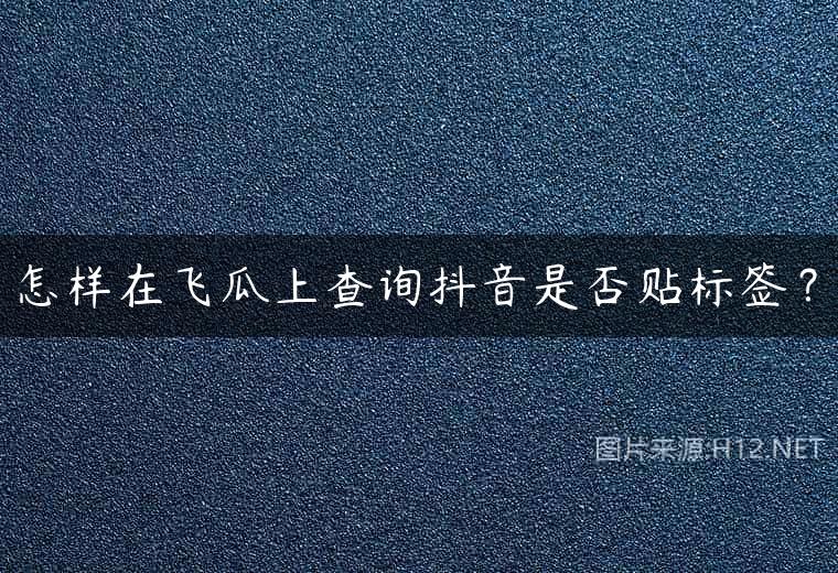 怎样在飞瓜上查询抖音是否贴标签？