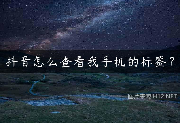抖音怎么查看我手机的标签？