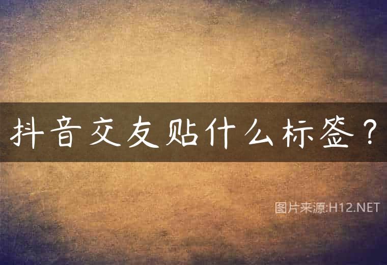 抖音交友贴什么标签？