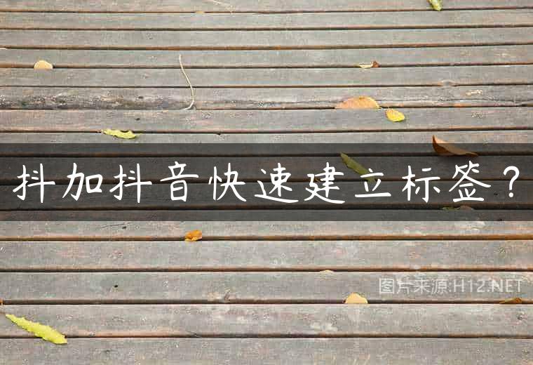 抖加抖音快速建立标签？