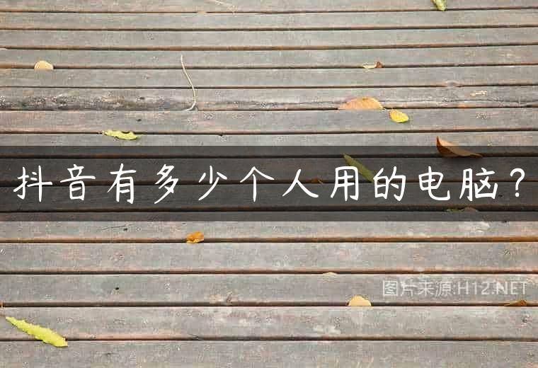 抖音有多少个人用的电脑？