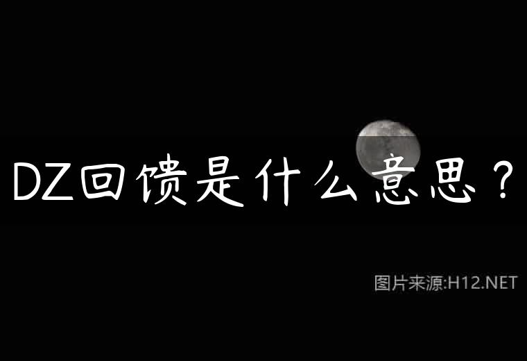 DZ回馈是什么意思？
