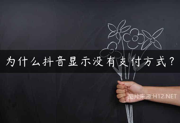 为什么抖音显示没有支付方式？
