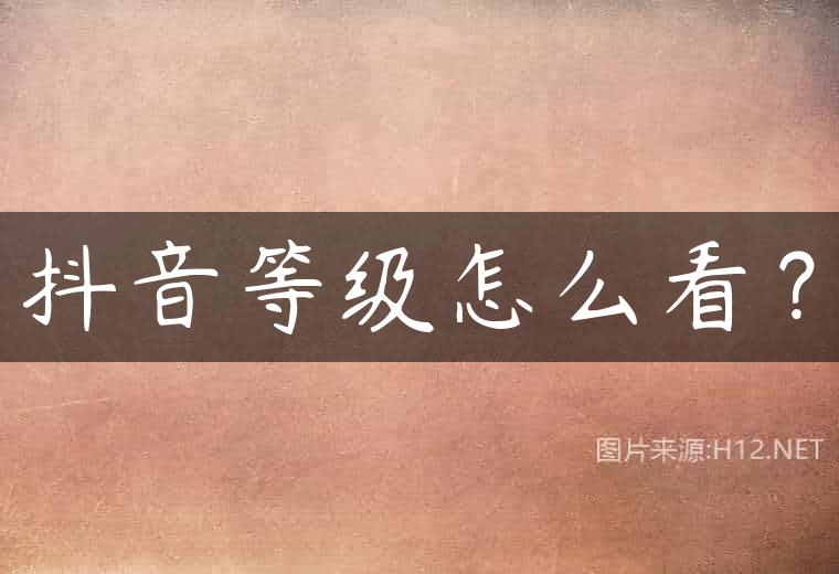 抖音等级怎么看？