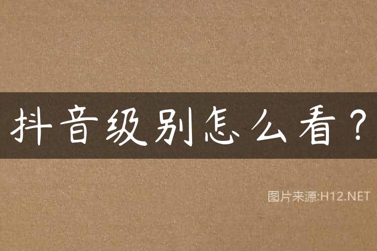 抖音级别怎么看？