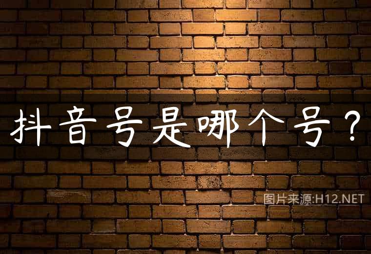 抖音号是哪个号？