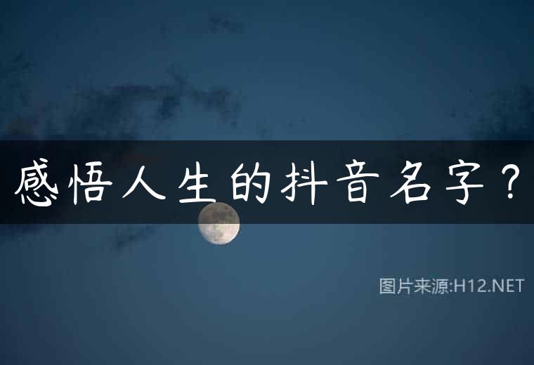 感悟人生的抖音名字？