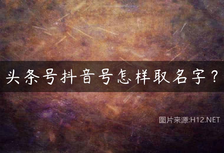 头条号抖音号怎样取名字？