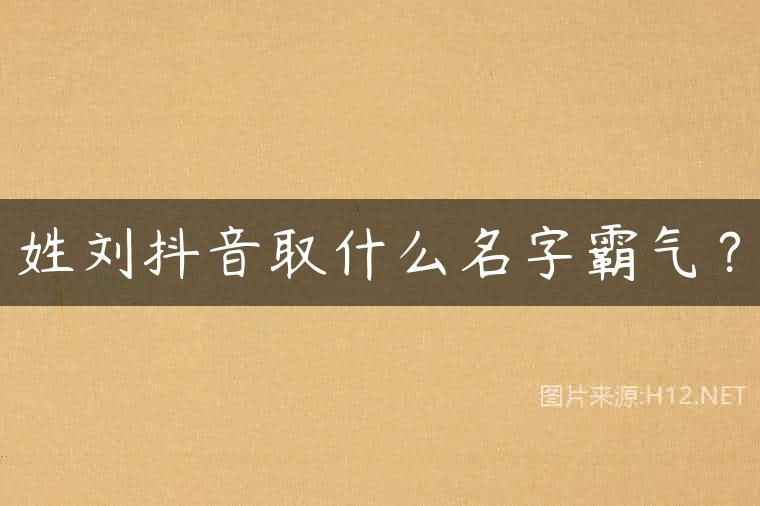 姓刘抖音取什么名字霸气？